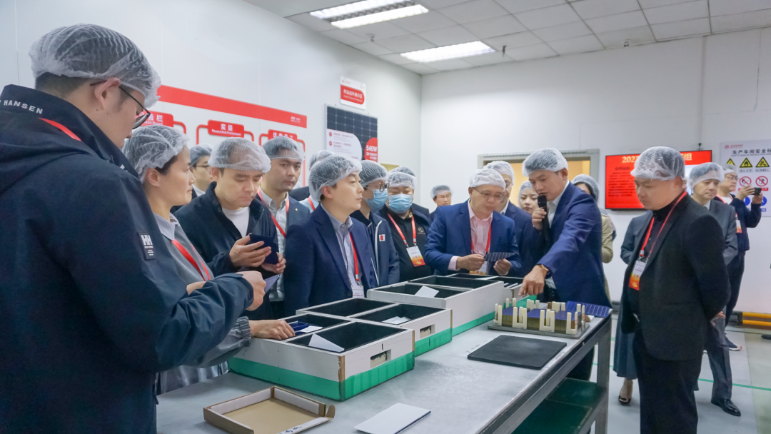 致公党代表团一行莅临金寨赛拉弗调研考察